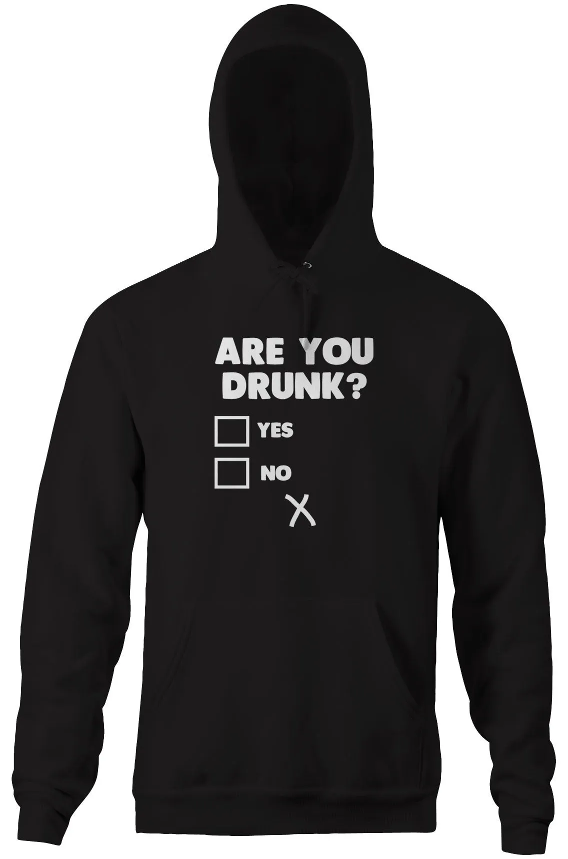 Are You Drunk? Hoodie