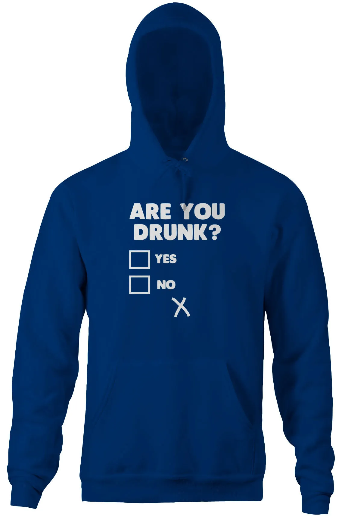 Are You Drunk? Hoodie