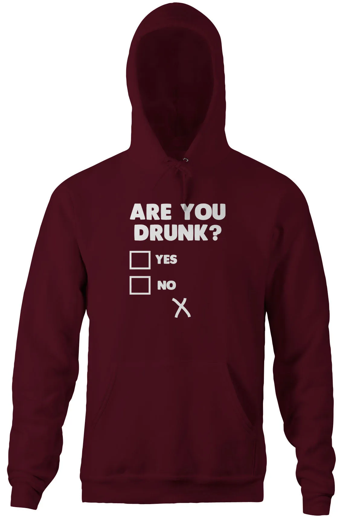Are You Drunk? Hoodie