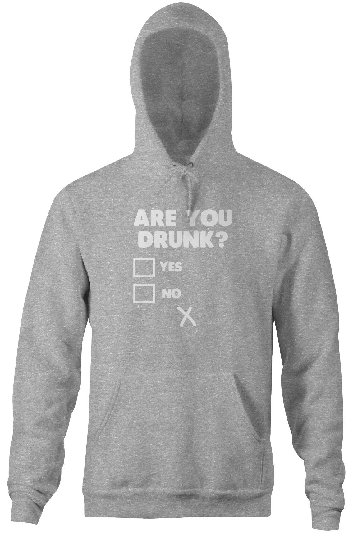 Are You Drunk? Hoodie