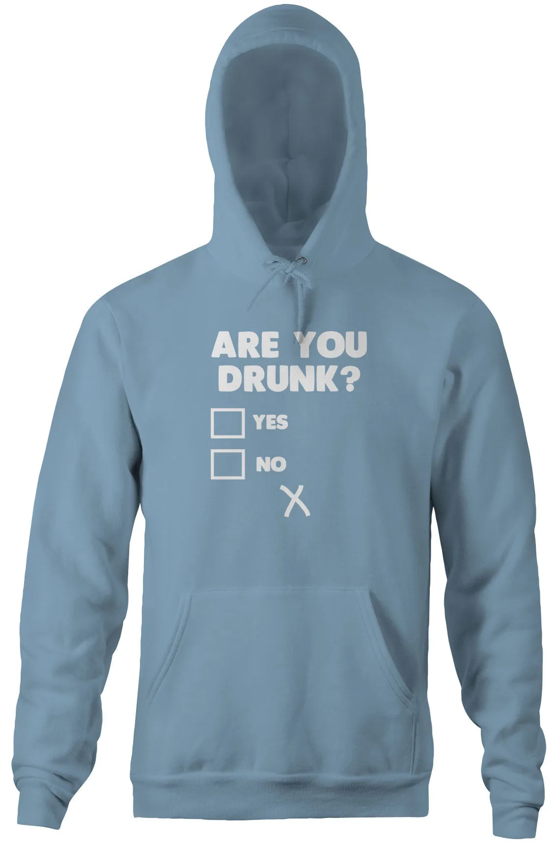 Are You Drunk? Hoodie