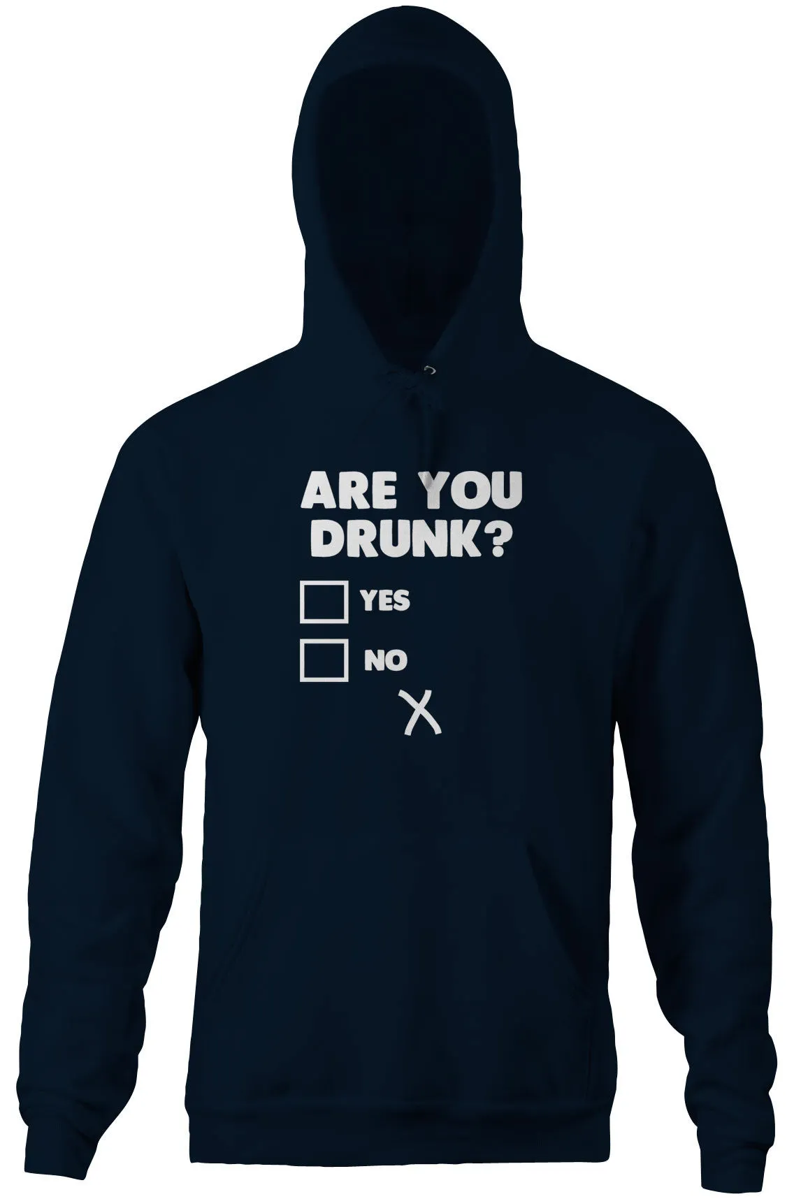 Are You Drunk? Hoodie