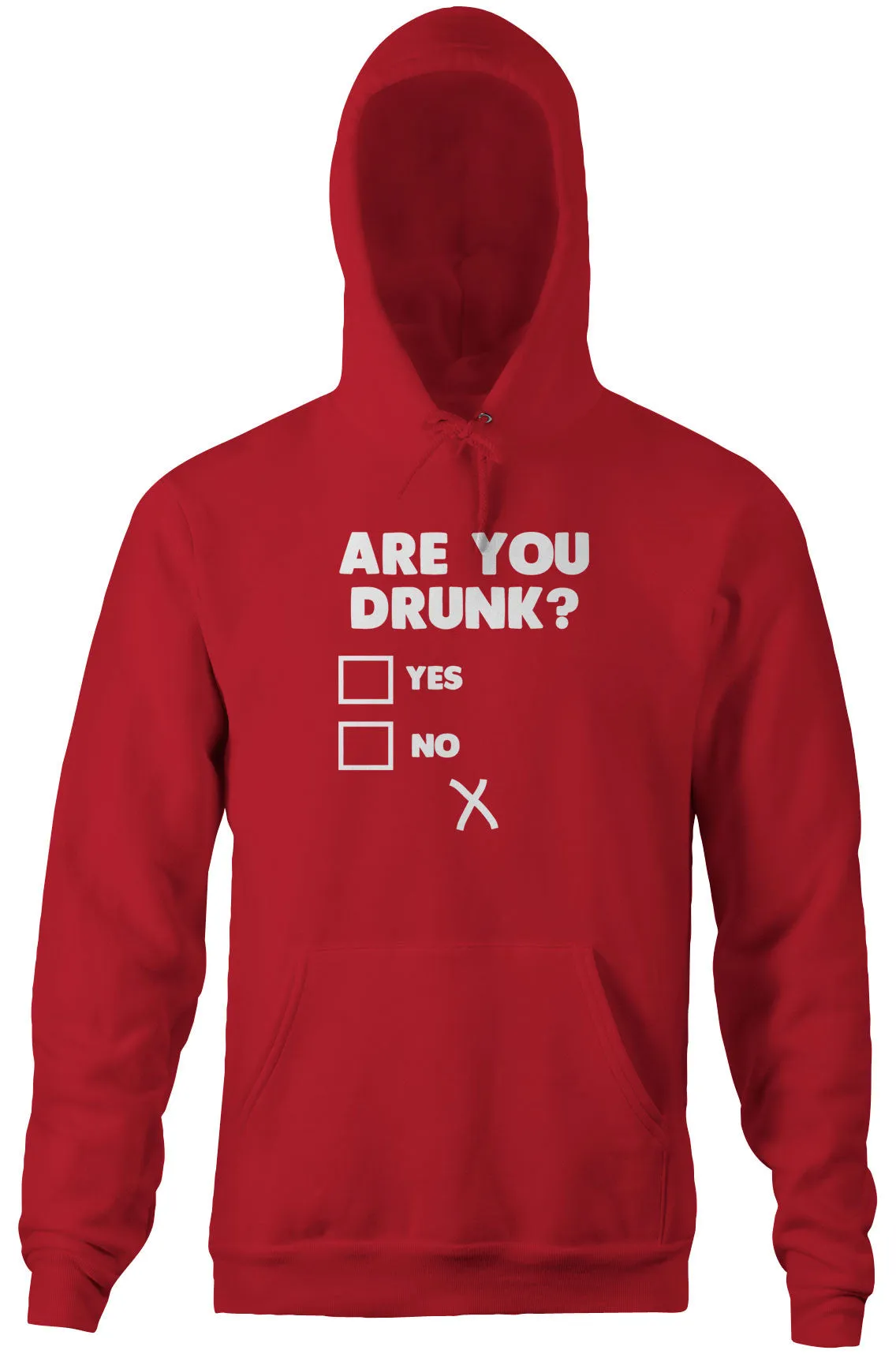 Are You Drunk? Hoodie