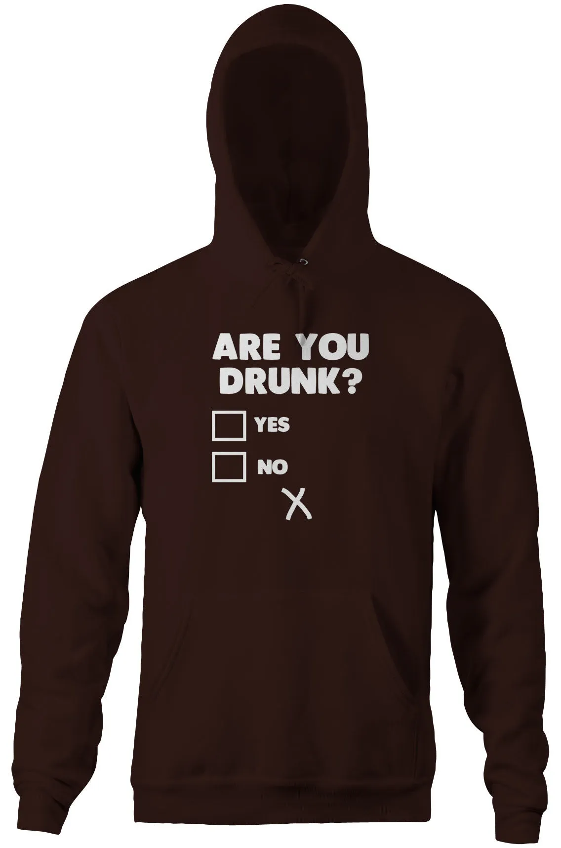 Are You Drunk? Hoodie
