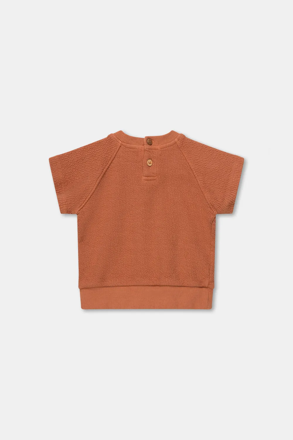 Double Face Short Sleeves Baby Sweatshirt