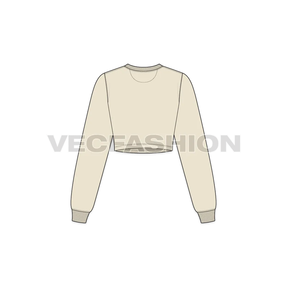 Women's Full Sleeves Crop Sweatshirt