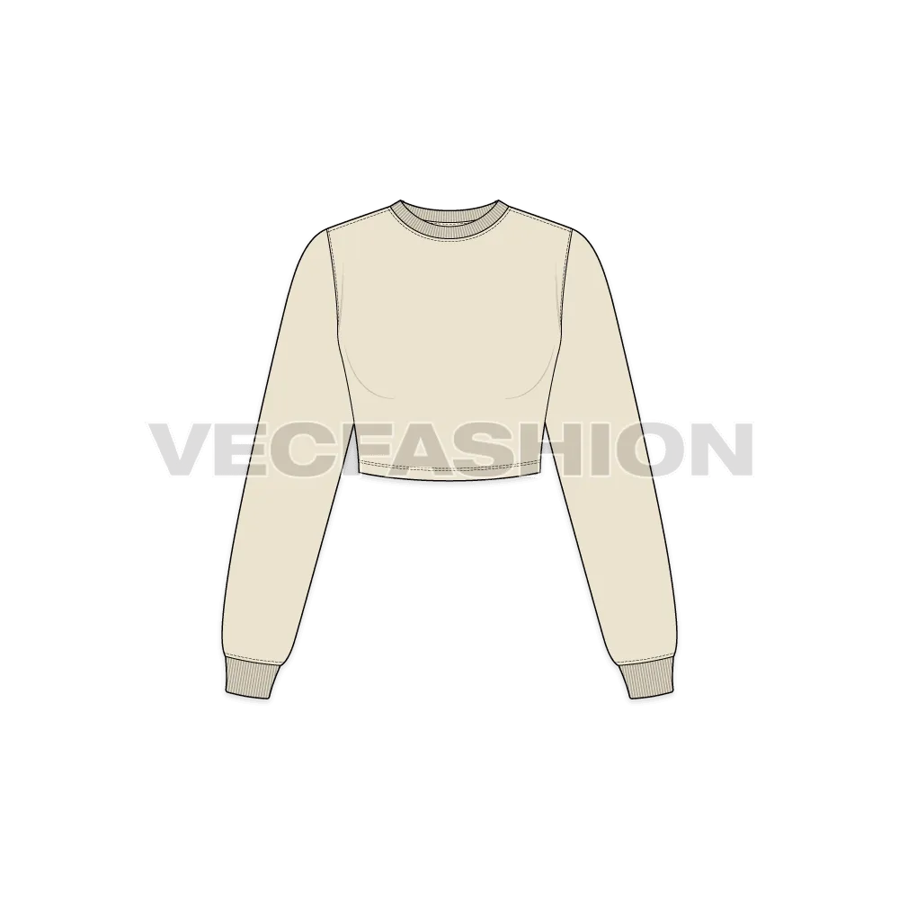 Women's Full Sleeves Crop Sweatshirt